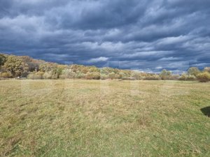 TEREN de vanzare INTRAVILAN in Sibiu PANORAMA DEOSEBITA, ZONA LINISTITA - imagine 3