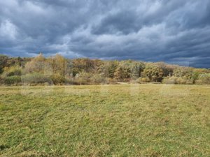 TEREN de vanzare INTRAVILAN in Sibiu PANORAMA DEOSEBITA, ZONA LINISTITA - imagine 12