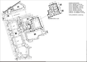 Spatiu ( are ISU) cu vad: Piata Gemeni-Vasile Lascar - imagine 4