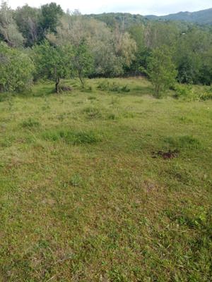 Valeni de Munte - Predeal, Sarari, 4574 mp - imagine 2