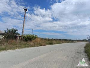 TEREN 5000,MIDIA PORT - imagine 4