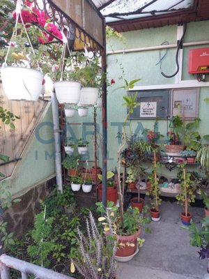 Casa Sancraiu De Mures - imagine 8