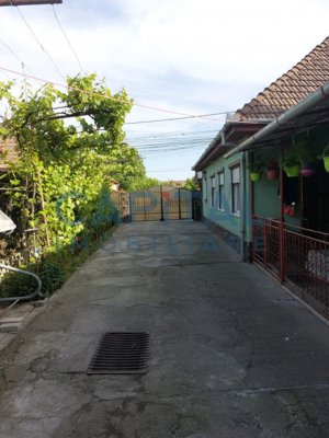 Casa Sancraiu De Mures - imagine 7