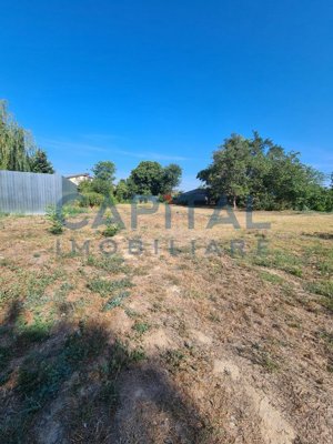 Teren Intravilan 6017 mp pentru Constructii Case Individuale, Duplexuri, Blocuri - imagine 6