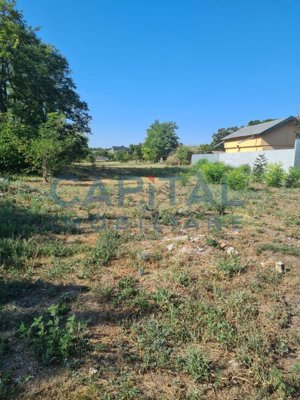 Teren Intravilan 6017 mp pentru Constructii Case Individuale, Duplexuri, Blocuri - imagine 2