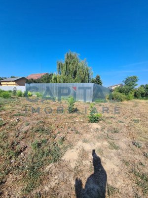 Teren Intravilan 6017 mp pentru Constructii Case Individuale, Duplexuri, Blocuri - imagine 5