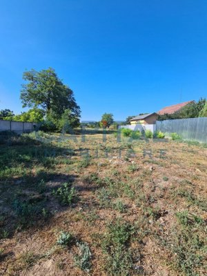 Teren Intravilan 6017 mp pentru Constructii Case Individuale, Duplexuri, Blocuri - imagine 3