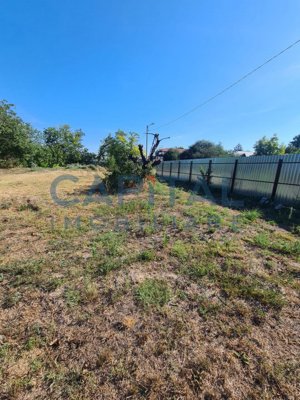 Teren Intravilan 6017 mp pentru Constructii Case Individuale, Duplexuri, Blocuri - imagine 4