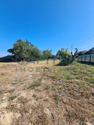 Teren Intravilan 6017 mp pentru Constructii Case Individuale, Duplexuri, Blocuri - imagine 7