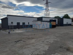 Spatiu industrial de vanzare, 8120 mp, Neamt - imagine 4