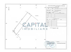 Teren intravilan 4506 mp, Crăești - imagine 3