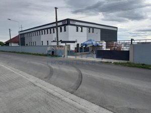 Spatiu industrial de vanzare, 8120 mp, Neamt - imagine 7