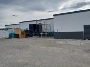 Spatiu industrial de vanzare, 8120 mp, Neamt - imagine 5