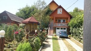 Casa superba cu livada, Bistrita - imagine 3