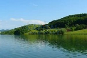 Teren intravilan 9800 mp Mures - imagine 4