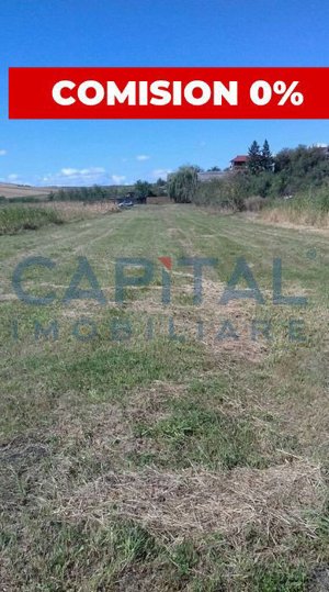 Teren extravilan 2000 mp Sarmasu