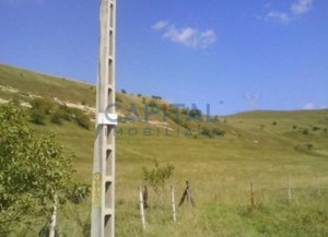 Teren intravilan 9800 mp Mures - imagine 5