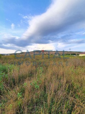 Teren intravilan 23750 mp, Zalau - imagine 4