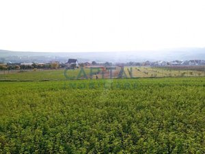 Teren intravilan 5500 mp Comuna Săndulești - imagine 4