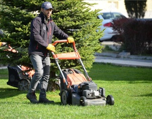 Servicii intretinere spatii verzi si gradini