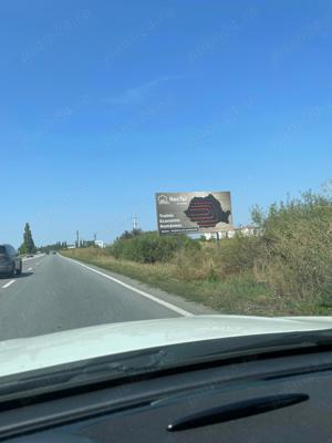 Execut lucrari de intretinere  defrisare, spatii verzi