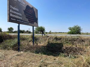 Execut lucrari de intretinere  defrisare, spatii verzi - imagine 4