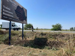 Execut lucrari de intretinere  defrisare, spatii verzi - imagine 5