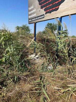 Execut lucrari de intretinere  defrisare, spatii verzi - imagine 3