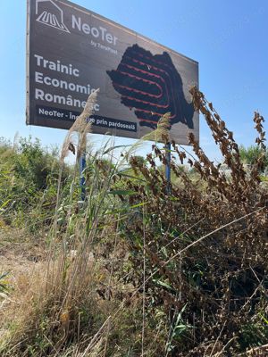 Execut lucrari de intretinere  defrisare, spatii verzi - imagine 2