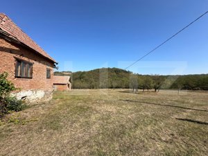 Teren intravilan de vanzare 14000mp,ideal pentru investitie,Stauini,Vintu de Jos - imagine 5