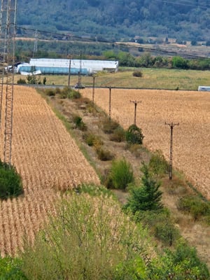 Teren pentru construcții case și hale industriale