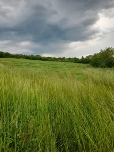 Vând teren intravilan,Bădeni,jud.Cluj - imagine 2