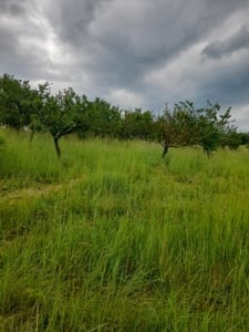 Vând teren intravilan,Bădeni,jud.Cluj