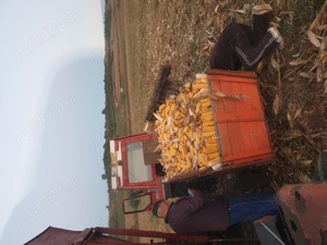 Vand culegatoare smaj 222 - imagine 2