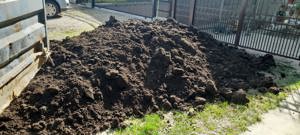 De vânzare mranita de oaie 