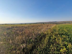 Teren intravilan in Paleu jud Bihor - imagine 4