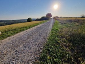 Teren intravilan in Paleu jud Bihor - imagine 8