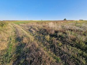 Teren intravilan in Paleu jud Bihor - imagine 5