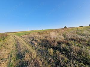 Teren intravilan in Paleu jud Bihor - imagine 9