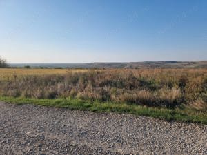 Teren intravilan in Paleu jud Bihor - imagine 6