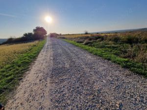 Teren intravilan in Paleu jud Bihor - imagine 2