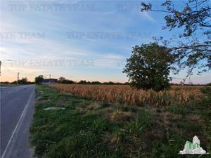 Teren intravilan pentru constructii stradal, 2965 mp, cu toate utilitatile si deschidere la 2 strazi - imagine 4