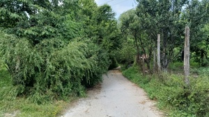 Casă şi livadă, de vânzare în localitatea Păuşeşti-Măglaşi, sat Coasta. - imagine 10