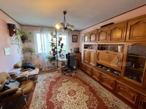 Apartament 2 Camere, Garaj, pe Calea Traian - imagine 3