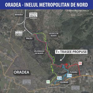 Teren intravilan, Fughiu - Osorhei, 4 244 mp, ideal pentru dezvoltare - imagine 6
