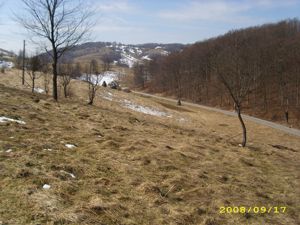 Teren intravilan Rosia, 12 000 mp, cu proiect aprobat. Comision 0. - imagine 11