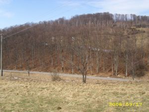 Teren intravilan Rosia, 12 000 mp, cu proiect aprobat. Comision 0. - imagine 8