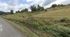 Teren intravilan Rosia, 12 000 mp, cu proiect aprobat. Comision 0.