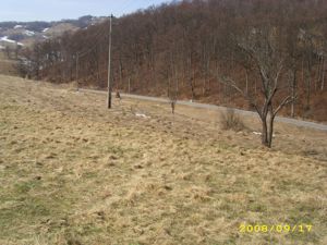 Teren intravilan Rosia, 12 000 mp, cu proiect aprobat. Comision 0. - imagine 10