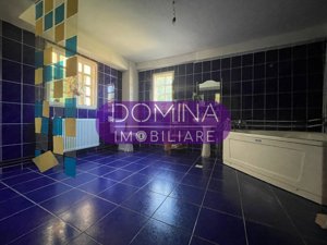 Vânzare proprietate D+P+1+M - Stațiunea Băile Săcelu *potențial de business* - imagine 9